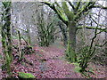 Llwybr ceffyl ger Blaencennen / Bridleway near Blaencennen