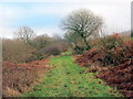 Llwybr ceffyl Cwm Ffrwd / Cwm Ffrwd bridleway