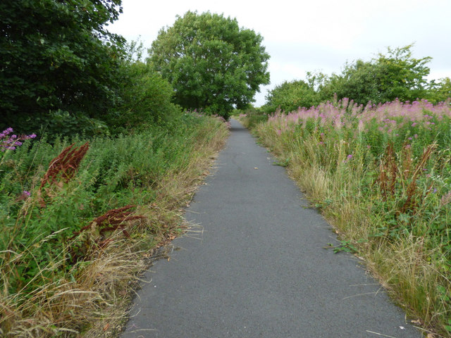 Cycle path at Irvine