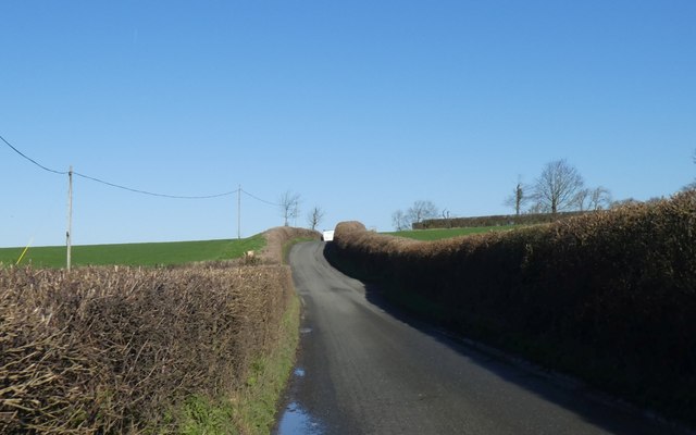 Neat hedges on road south of Otterhampton