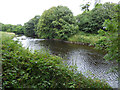 Weir on the River Garnock