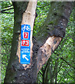 National Cycle Network Route 7 sign