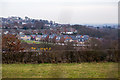 Moseley Green, Cookridge, Leeds