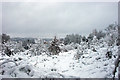 Land south of Church Road, Worth under snow