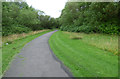 Cycle path in Almswall Park