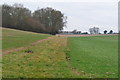 SU3639 : Fields below Hazel Down by David Martin