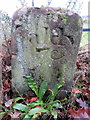 Caldy boundary stone #7 on Thurstaston Common