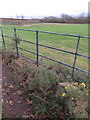 Caldy boundary stone #7 alongside Caldy Sports Club