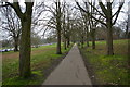 Path through Alexandra Park