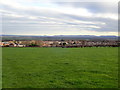 Crossing the field to Higher Kinnerton