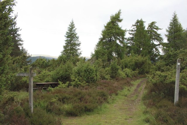 Junction of paths south east of Insh