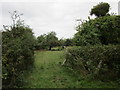 Orchard off Pickedmoor Lane