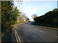 Towards the top of Ruswarp Bank