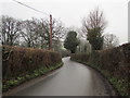 Hedge-lined road towards Llangenny, Powys