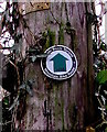 Mountain Bike Route direction sign near Llangenny, Powys