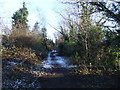 Footpath on the elevated stretch of old railway