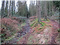 Llwybr tuag at yr ucheldir / Path to the high ground