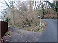 Llwybr ger Celliceubren / Path near Celliceubren