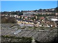 Roofs at Luton