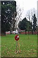 SO8071 : Newly planted oak tree with poppy wreath, Stourport War Memorial Park, Stourport-on-Severn by P L Chadwick