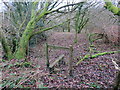 Llwybr ger Bontgarreg / Path near Bontgarreg