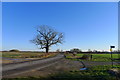 Road from Croxton Kerrial to Saltby