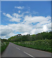 Sheet Road near Caynham