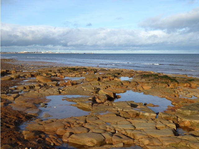 Coastal rocks at Seaton Sluice
