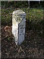 Old Milestone by the B2070, Portsmouth Road, Bramshott and Liphook Parish