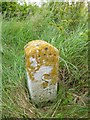 SU0819 : Old Boundary Marker by Tidpit, Knap Barrow, Martin Parish by Milestone Society