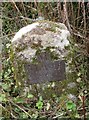 Old Milestone by Stepping Stone Lane, Painswick Parish