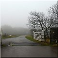 Cattle grid and private road to Emmett