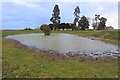 Pond by Manor Farm