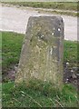 Old Boundary Marker on Man Stone Edge, Rushy Hill