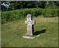 SX4973 : Old Wayside Cross on by Green Lane, Whitchurch Down by Alan Rosevear