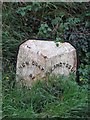 Old Milestone by the A486, north of Synod Inn