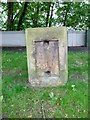 Old Milestone by Broadgate, Preston