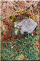 Old Milestone east of Llyn Clywedog