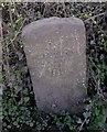 Old Milestone by the B4352, Knapp Farm, north of Bredwardine