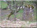 Old Milestone by the B743, north east of Dykehead