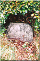 Old Milestone by the B4401, north of Pont yr Hendwr