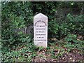 Modern Milestone by the A283, Chiddingfold Parish