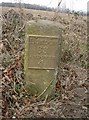 Old Milestone by the A343, Abbotts Ann Down