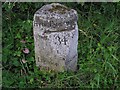 Old Milestone by the A3100, Portsmouth Road, Milford