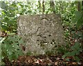 Old Milestone by the A35, near Hunter