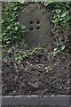 Old Milestone by the A528, Ellesmere Road, north of Shrewsbury