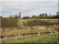 Barnby in the Willows seen across the River Witham