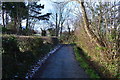 The lane between Llechwedd and Groesffordd.