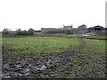 A muddy path, Lysdon