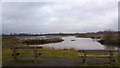 SP2099 : Benches overlooking the North Pool, RSPB Middleton Lakes  Nature Reserve by Phil Champion
